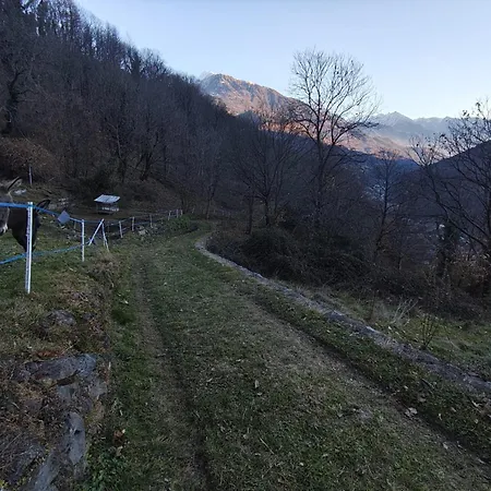 La Nel Bosco Berzo